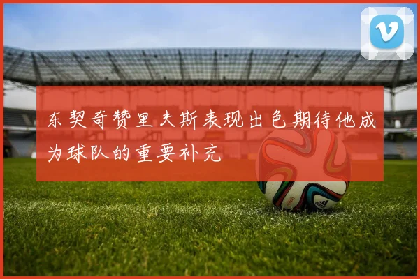 东契奇赞里夫斯表现出色期待他成为球队的重要补充