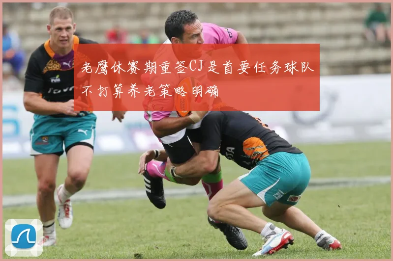 老鹰休赛期重签CJ是首要任务球队不打算养老策略明确