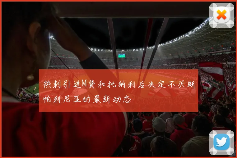 热刺引进M费和托纳利后决定不买断帕利尼亚的最新动态