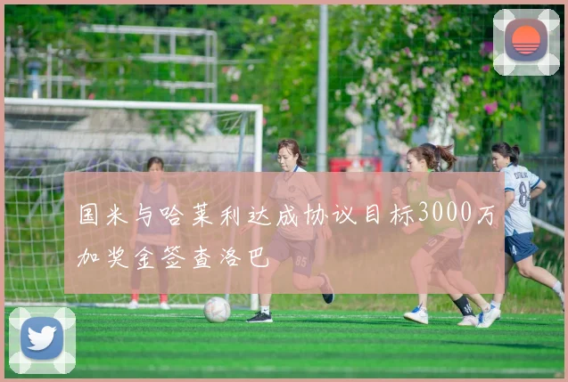 国米与哈莱利达成协议目标3000万加奖金签查洛巴