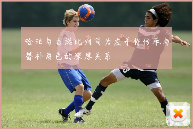 哈珀与吉诺比利同为左手将传承与替补角色的深厚关系